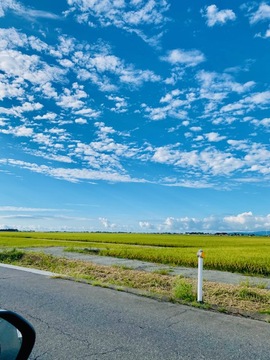 658/1000　やっぱり家が一番いい。　