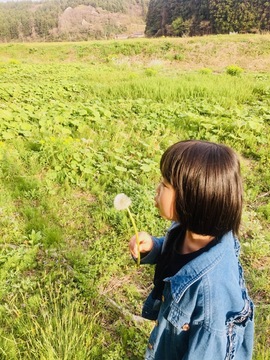 846/1000　山を越えて行け　