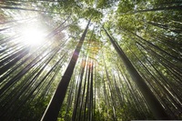 908/1000　晴の日の株主総会　