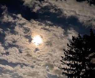 へその緒と母の棺